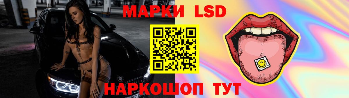  Кокаин Шелехов
