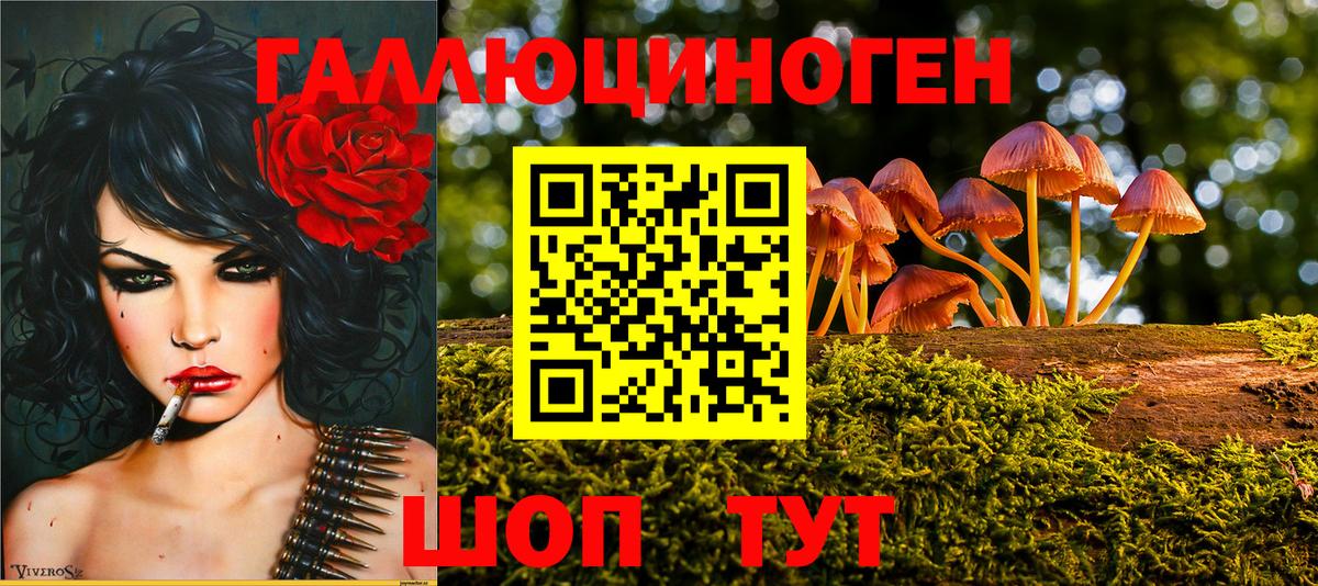 Псилоцибиновые грибы мухоморы Шелехов