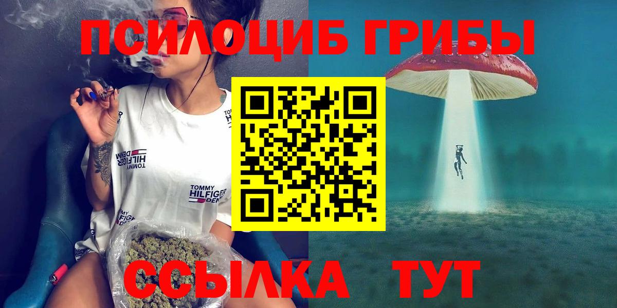 Псилоцибиновые грибы GOLDEN TEACHER  Псилоцибиновые грибы Psilocybe  Шелехов  Вход с VPN 