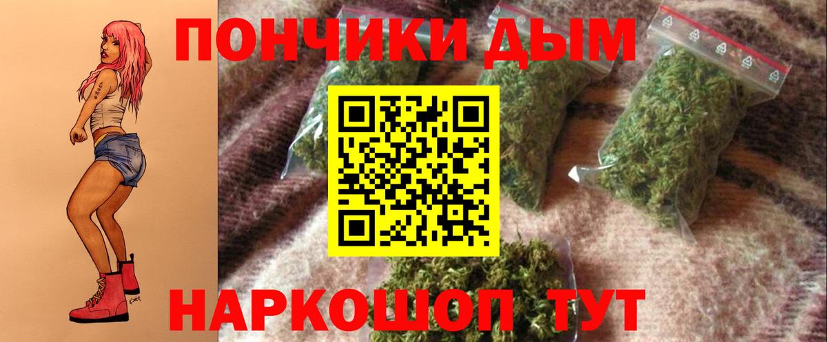Шелехов  Шишки марихуана тримм  Вход с VPN  Бошки марихуана Amnesia  Конопля Ganja 
